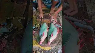 Unreal! Village Big Pangas Fish Cutting Incredible Knife Skills 😱 #shorts