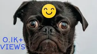 Funny video 😄 : Big eyes 👀 !
