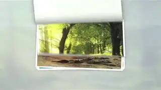 Page Flip Logo   After Effects Template