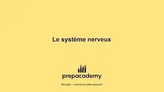 Le système nerveux