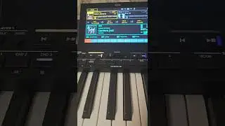 Set korg pa5 2025