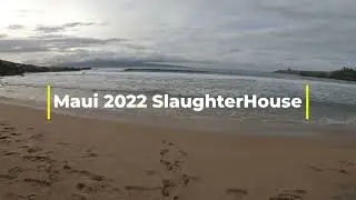 SlaugherHouse Maui Surf Session.