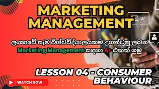 Marketing Management. Lesson 04   Consumer Behavior