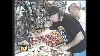 AGDE TV FRUITS ET MOTOS