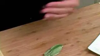 Cooking Tips : How to Chop Sage