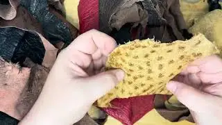 Unboxing a remnant pack of ostrich leather!