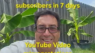  How to get 1,000 Subscribers in 7 days scams