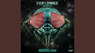 Live Your Life (Audiotec Remix)