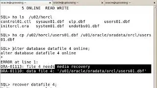 Oracle（ocp）视频教程81