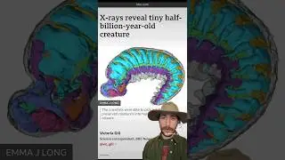 Larval Fossil Questions! 🐛🦴#shorts #biology #science #ecology #animals #ecology #insects #nature