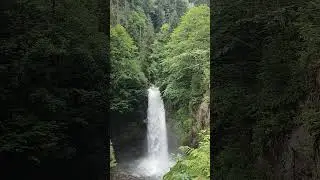 Peaceful Waterfall Sounds White Noise for Sleep & Relaxation