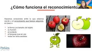 CVI - &Aacute;rea de Evaluaci&oacute;n: Reconocimiento Visual
