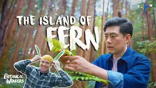 The World&rsquo;s Hidden Hotspot for Plant Diversity | Botanical Wonders