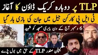 Crack Down started again on TLP | Captain Safdar Speaks in favour of TLP | PTI respond to DG ISPR