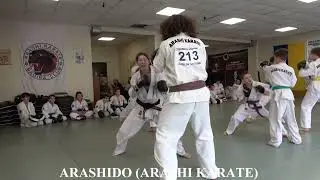 Arashido (Arashi Karate) Certification 24.05.2025 Ukraine Kyiv