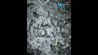 De Palacio a ruinas olvidadas | El Palacio Bogr&aacute;n - Santa B&aacute;rbara | Cap&iacute;tulo #40
