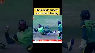 Chris Gayle best catch ever #ytshorts #viral #shorts #t20