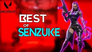 ACE DE REYNA - BEST OF SENSUKE VALORANT