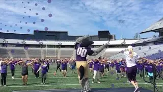 Welcome to The Whole U!