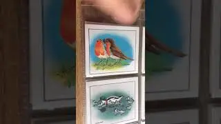 Vintage ephemera trade card set cadbury&rsquo;s birds in springtime