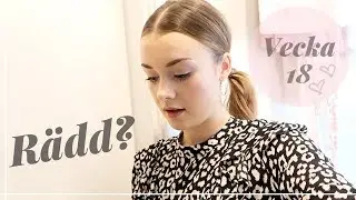 VILL INTE SE FÖRLOSSNINGSFILMER JUST NU / Gravidvlogg vecka 18