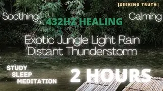 Exotic Jungle 432HZ Distant Thunderstorm Light Rain Healing Nature Sound Sleep |SEEKINGTRUTH|