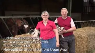 Why Farm Stay