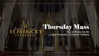 Thursday Mass - January 22nd 2026