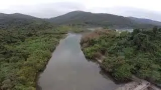 TAI TAM