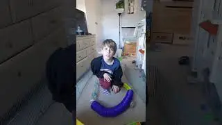Hamster challenge