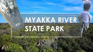A Tour of Myakka River State Park in Sarasota Florida [2021]