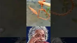 What A Creative Fishing Technique 😱🐠#shorts#fishing#creative