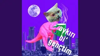 Aykırı Bi' Gençtim
