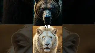 Top 10 Strongest Animals in the World (Hyena, Baboon, LION, More)