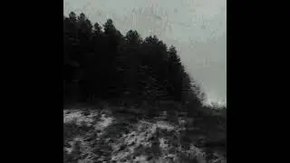 Sorry about my face - сегодня ночь самобичевания