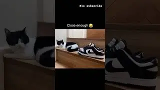 Daily desi memes (part 3)  #desimemes #funny #shortvideos #dailymemes #newmemes #newtrends #memes