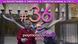willro - #36 feat. HamNCheddar, SethDrums & CarlosTheGardener (a paymoneywubby song)