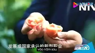 [TREND] LIVESTREAM B&Aacute;N N&Ocirc;NG SẢN GI&Uacute;P N&Ocirc;NG D&Acirc;N TĂNG THU NHẬP