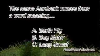 Aardvark Animal Quiz