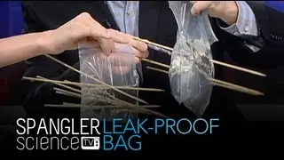 Leak-Proof Bag - Cool Science Experiment
