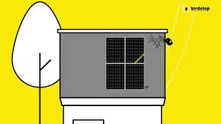 Birdstop: Der Vogelschutz f&uuml;r Ihre Solaranlagen