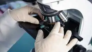 Smoke Damage Testing by LA Testing