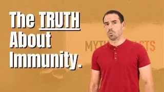 The Truth About Fat and Your Immune System