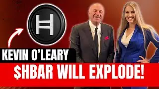 Kevin O'Leary: Most Undervalued Crypto $HBAR Hedera & Bitcoin Price Prediction 2025