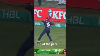 #psl2024 #pslt20