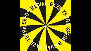 PREMIERE: Radial Gaze - Black Salto [Thisbe Recordings]