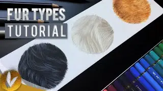 Colored Pencil Fur Types Tutorial | How To Draw Long, Short, And Wavy Fur Using Colored Pencils