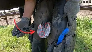 Healing Through Horseshoes: The Farrier's Role #hooves #horse #hoofcare #hoofhealth