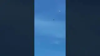 Tumbling Pigeons in the Sky