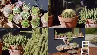 Decorar rincón con cactus y plantas crasas - Decogarden - Jardinatis